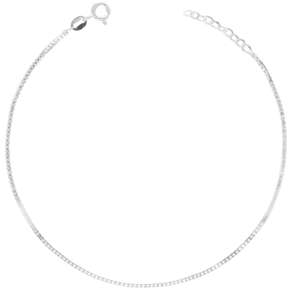 Box Chain Anklet